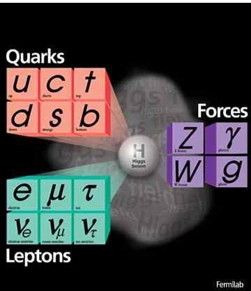 즉이 17 개입자가우주의모든물질과세상을움직이는힘을만든다는것이표준모형의핵심개념입니다. 혹은 [ 표준모형에서제시하는 6 개의쿼크 (Quark) 와 6 개의경입자 (Lepton), 그리고 4 개의매개입자 (Force)] 2) 지금까지표준모형을구성하는기본입자들은힉스입자를제외하고모두실험적으로발견되었습니다.