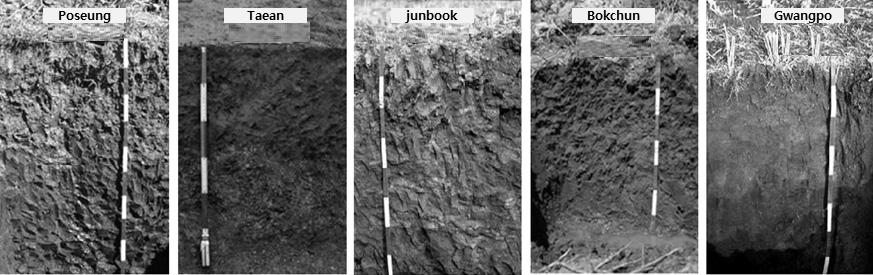 1226 Doug-Young Chung, Hyejin Kim, Misuk Park, and Sang-Eun Lee Fig. 5. profiles of the soil series at the Youngsan-river reclaimed tidal soils. Table 5.