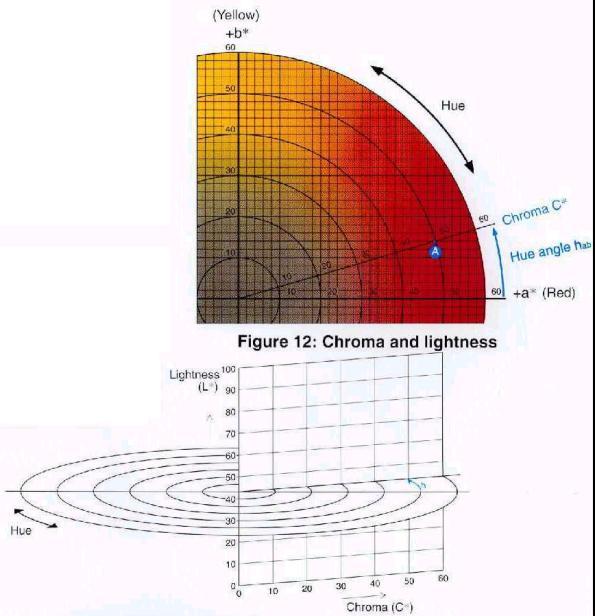 h 는색상각도를나타내고있고그림 9 처럼 a* 적색방향의축을 0 로해서여기서부터반시계방향의색상에대해이동한각도로색의위치를알수있게되어있습니다.