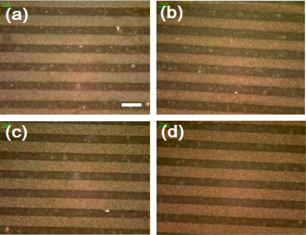 Figure 1은 은 분말을 80 wt% 함유한 실버 페이스트의 노 광 및 현상 공정 후 만들어진 30 µm 선폭 미세 전극 패턴의 광학현미경 사진이다. 노광되는 광량이 일정 수준 이상이 되 면 미세 라인의 선폭이 손상없이 현상되었다.