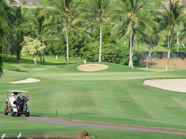 골프장소개 코올리나골프클럽 하와이오하우섬서남쪽에위치한하와이최고골프장중의하나 1990-95 년 LPGA TOUR 및 1992 년시니어 PGA