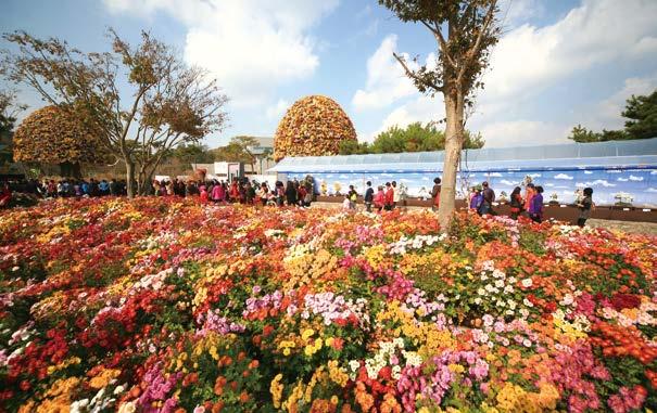 10 함평 2016 대한민국국향대전 tour.hampyeong.go.kr 가을의향기가더욱그윽해지는국화꽃세상으로떠나는낭만여행!