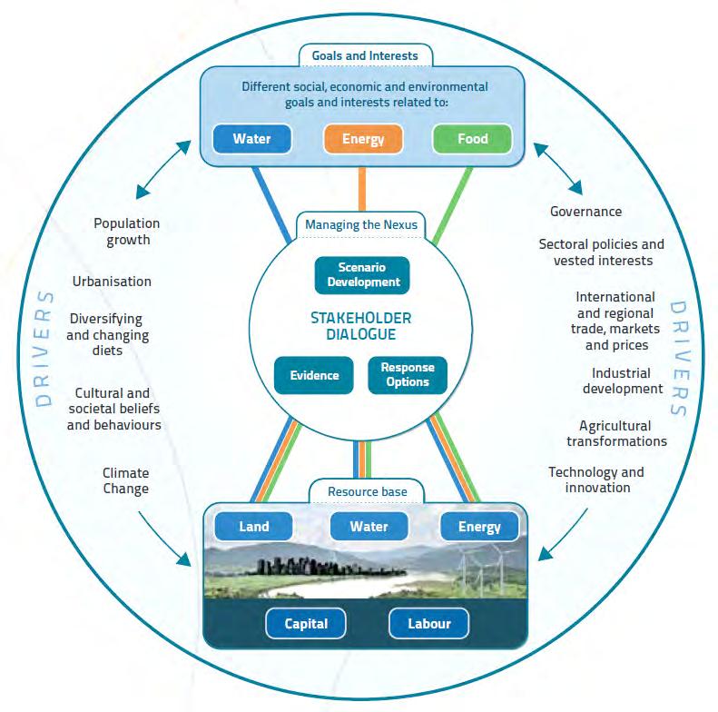 [ 그림 3.7] FAO 의 WEF Nexus 추진체계 [ 그림 3.