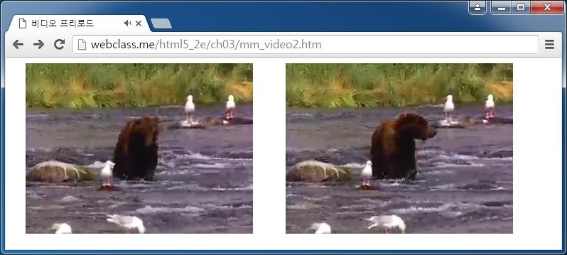 </video> <video width="360" height="240" src="bear.