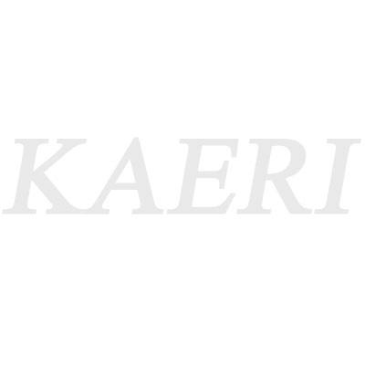 KAERI/RR-2668/2005 원자력수소생산기술개발및실증사업 Development and Demonstration of Nuclear