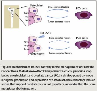 Metastases, Prostate Cancer (July 15, 2015) Radium-223 is designed to
