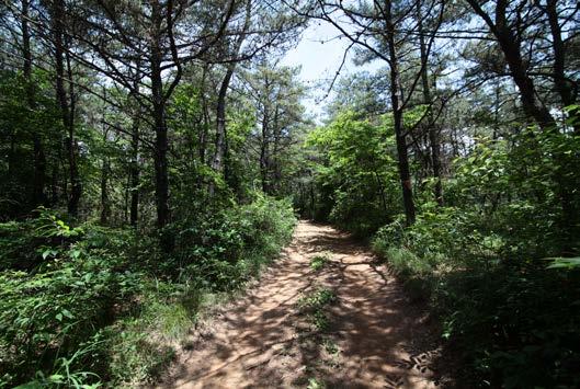 1km, 1~2 시간, 끝없이펼쳐진갯벌 24시횟집 바구리방조제 새방죽방조제 작은잘푸리방조제바다가보이는해변을걷다가야트막한북망산에오르면인천대교, 영종도, 송도신도시,