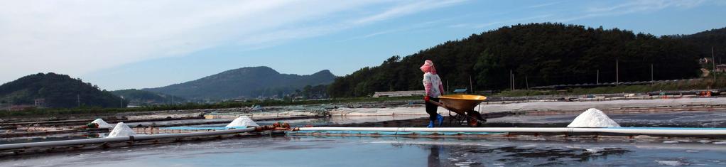 16 대대부도부동주염전 오랜전통과역사를가진최고의깸파리소금 도15 명품천일염대부도염전 수도권에서유일하게옛방식그대천일염을생산하는대부도염전. 사면이바다둘러싸인섬으일조량과바람이풍부해소금을생산하기에는최적의환경을갖추고있다.