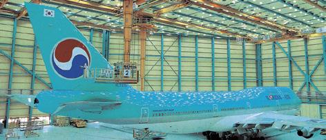Cargo Conversion Fuselage Structure Modification (747 Section 41 etc) Wing