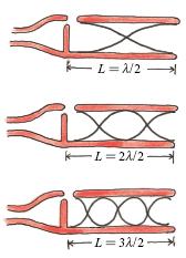 플룻처럼관의양쪽이열린경우 관의양끝이배고리 정상파의파장 λ와관의길이 L 은 L = λ n, ( n 2 f = = n, ( n λ 2L = 1, 2, 3 ) 이때주파수 (