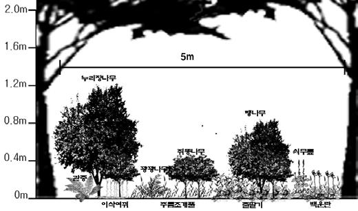 주변식생및동태백운란은제주도내해발 370~800m 일원의낙엽활엽수림내에서분포하나서식지는낙엽층이빈약한지역으로한정적인분포양상을보인다. 현재까지백운란의출현지역을보면한라산을중심으로성판악일대 ( 약 640m) 의동쪽지역과어리목일대 ( 약 700m) 의서쪽으로분포하는양상을보인다.