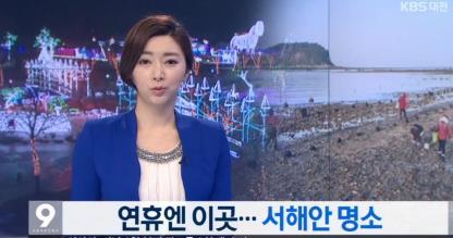 개막식방송보도진행언론홍보진행 홍보효과