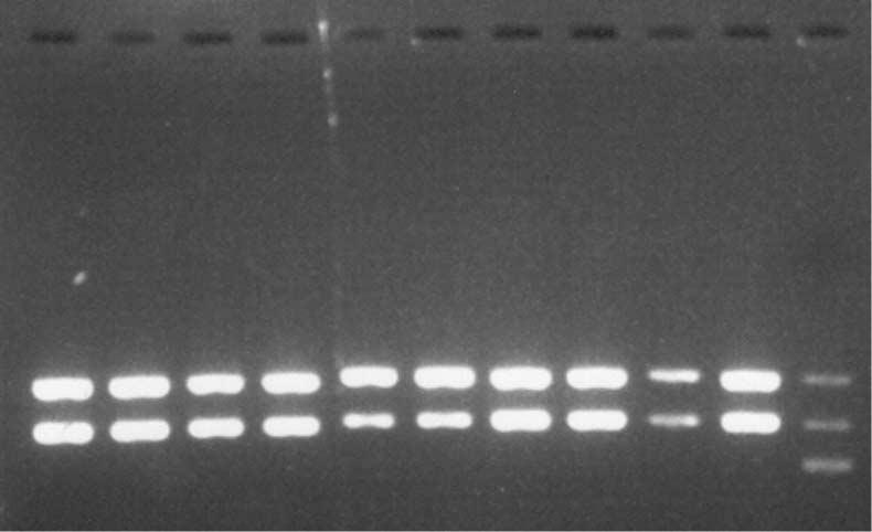Kim D-H, et al., Detection of Vancomycin-resistant Enterococci 633 91검체 (90.1%) 에서는 E. faecium만동정되었고, 9검체 (8.9%) 에서두균주가함께동정되었는데그중 8검체 (7.9%) 는 E. faecium과 E. gallinarum, 1검체 (1.0%) 는 E.