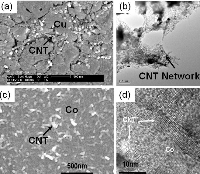 (a) 그림 5. Microstructures of carbon nanotube/metal nanocomposites consolidated by spark plasma sintering process, (a)sem crosssection image of 10 vol.