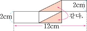 답안지정답및지 0 7++7+=0(m) 모눈한칸은한변의길이가 cm 인정사각 형이므로, 모눈한칸의넓이는 cm 입니다. 오른쪽도형은모눈이모두 칸이므로오른쪽도형의넓이는왼쪽단위넓이의 배입니다. =( cm ) 60000 m=00cm 이므로 ( 직사각형의넓이 )=60 00=60000( cm ) 입 니다. 8 직각을낀변의길이가 6cm인직각이등변삼각형입니다.