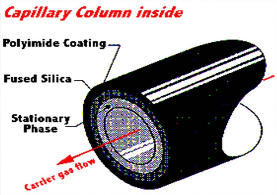 GC column -column 은 chromatography의 심장부 - capillary칼럼 & packed