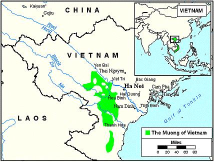 남부의 메콩강 삼각주지역을 통과하는 메콩강은 총 길이가 4,180km에 달하며 티벳 고원 동쪽 에서 발원하여 중국 운남성을 지나 라오스, 태국 사이의 국경을 따라 흐른 뒤, 캄보디아를 가 로질러 메콩강 삼각주를 통해 빠져 나간다. < 그림2-5. 동나이강과 사이공강 > < 그림2-6.