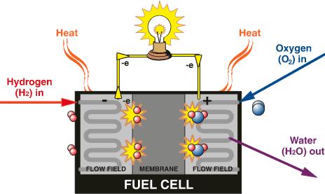 연료전지원리 (2) 전기화학적수소산화반응을통하여수소이온과전자생성 산소환원반응을통하여물을생성 ( 물전기분해의역반응 ) 전기화학반응식 분극곡선 H 2 2H + + 2e - ½ O 2 +