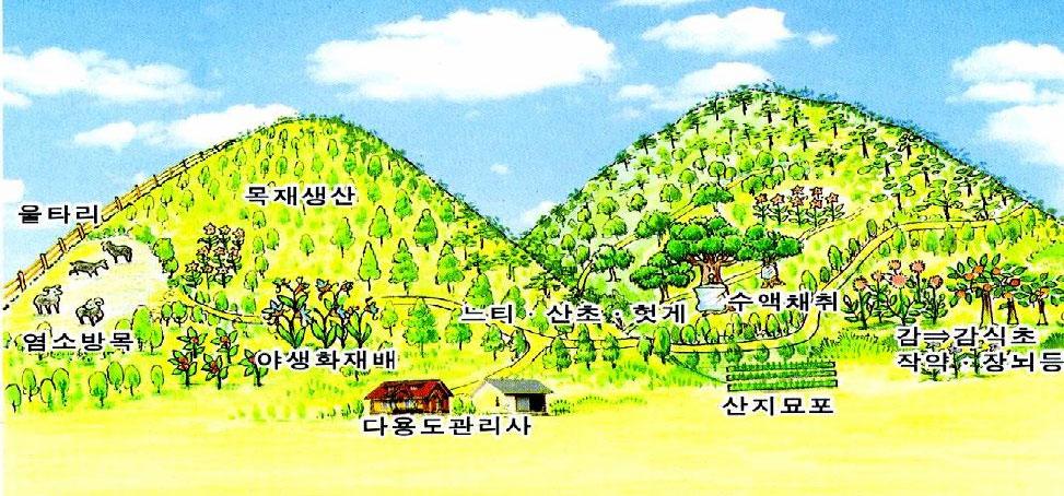 경북 북부지역 산림 및 임산자원의 효율적 활용방안(장우환) -