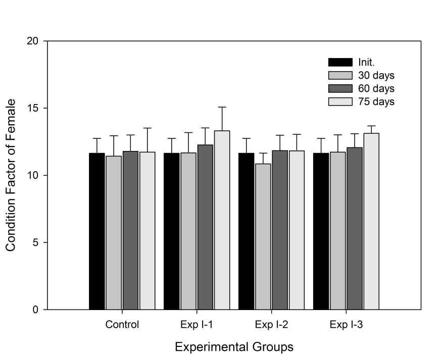 그림 21. 실험조건에따른양식산암컷동자개의 condition factor 변화.