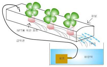 시스템 순수수경,