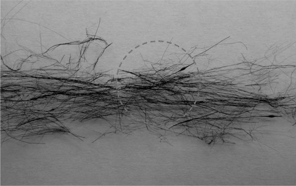 . 2.5 3000 300.. 12) Fig. 6 SiC. SiC. Nippon Carbon ceramic grade Nicalon, Tyranno, Sylramic SiC, Nippon carbon Hi-Nicalon, Hi-Nicalon type S. Fig. 6. Photograph of SiC fiber that is stuck to together.