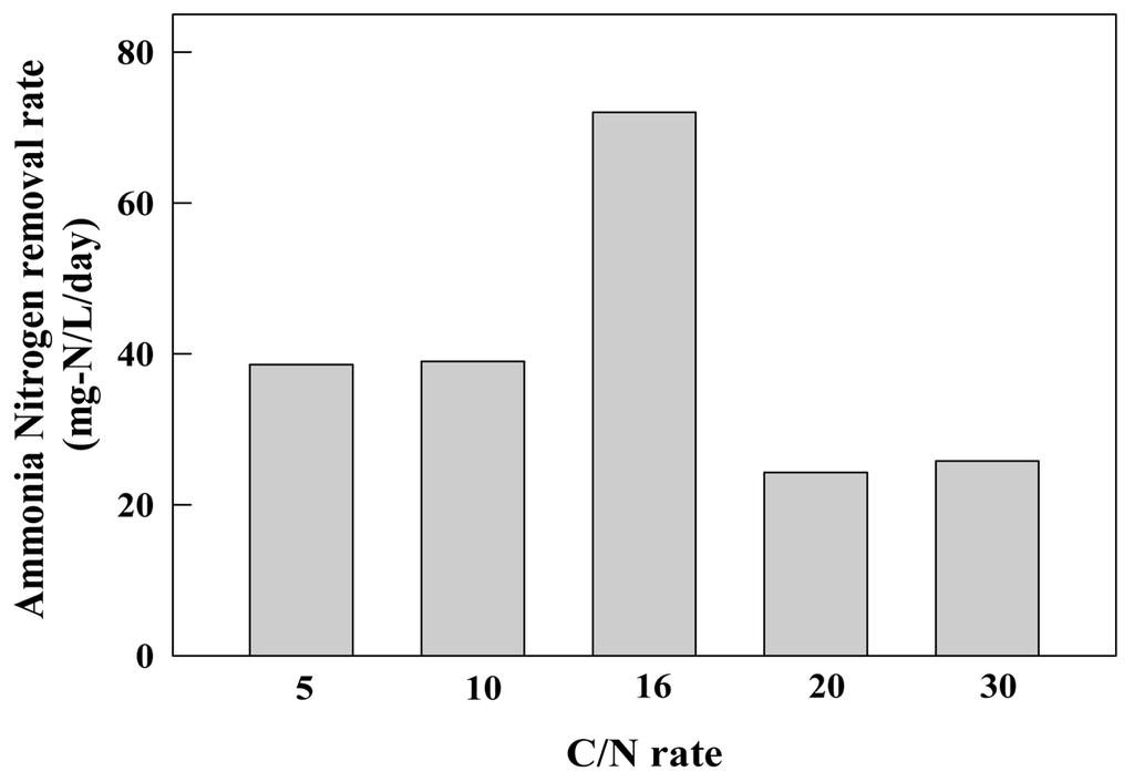 종속영양질산화 - 호기적탈질세균 Stenotrophomonas sp. CW-4Y 의분리와질소제거특성 77 Fig. 4. Effect of C/N ratio of substrate on the ammonium-n removal rate. 3.5.