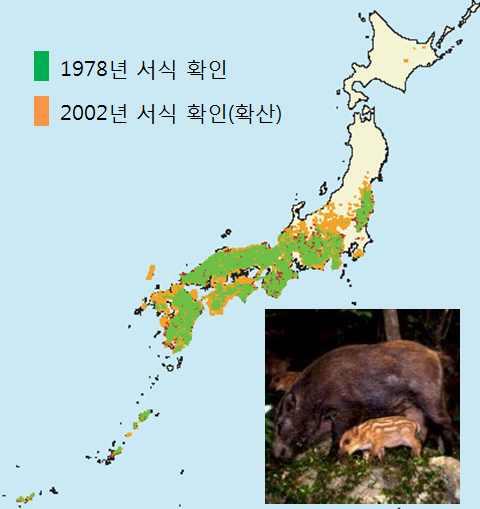 3.2.2. 일본의유해야생동물관리 m 40%, 30% 30 - 일본에서의멧돼지는주로일본국토의중심에서남쪽으로치우쳐서서식하 는것으로확인되었으며, 이들이과거약 40 년동안서식지지속되었다는 것이모니터링결과밝혀졌음 - 뿐만아니라그서식지가핵심지역에서점차주변으로확대되었는데, 2002 년서식지조사결과에의하면원서식지에서북쪽으로확산되었고, 심지어