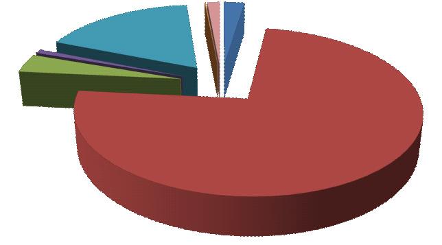 42%) 수력 266.2 (17.35%) 폐기물 36.0 (2.35%) 지열 57.5 (3.75%) 바이오매스 1,139.1 (74.22%) ( 단위 : M toe) 자료 : IEA(2011). 그림 3-2.