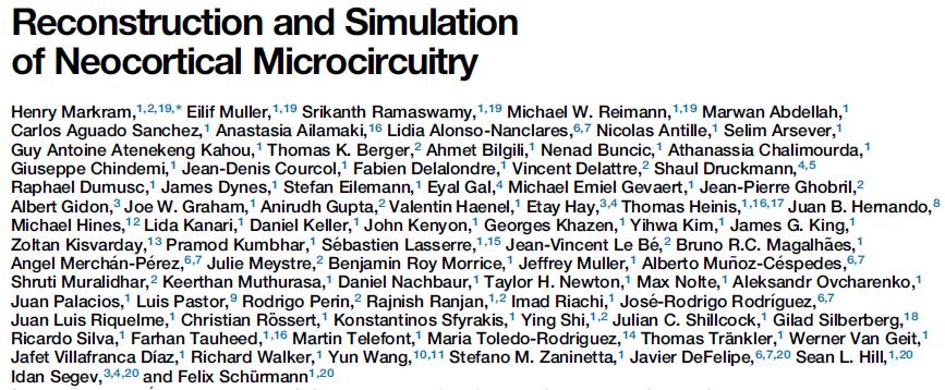 01. 국내외뇌연구학술동향 1. 신피질미세회로의재구성과시뮬레이션 스위스 EPFL Henry Markram 박사연구팀은디지털기술을활용하여유년기쥐 (juvenile rat) 체감각피질 (somatosensory cortex) 의미세회로를재구성함.