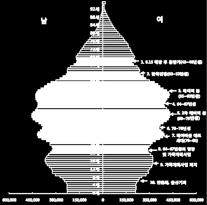 한국의인구피라미드 (2010) 통계개발원