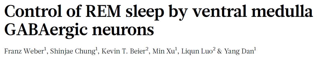 1. 복측연수 GABA 성뉴런의 REM 수면조절 REM( 급속안구운동수면, rapid eye movement sleep) 수면은활성화된뇌파와마비수준의골격근육을특징으로하는특별한뇌상태이며, 선명한꿈과연관되어있음.
