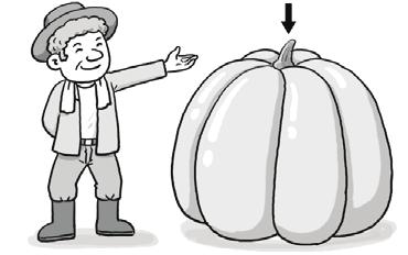 B: I m (B). A: What is that? B: It is a (C) pumpkin.