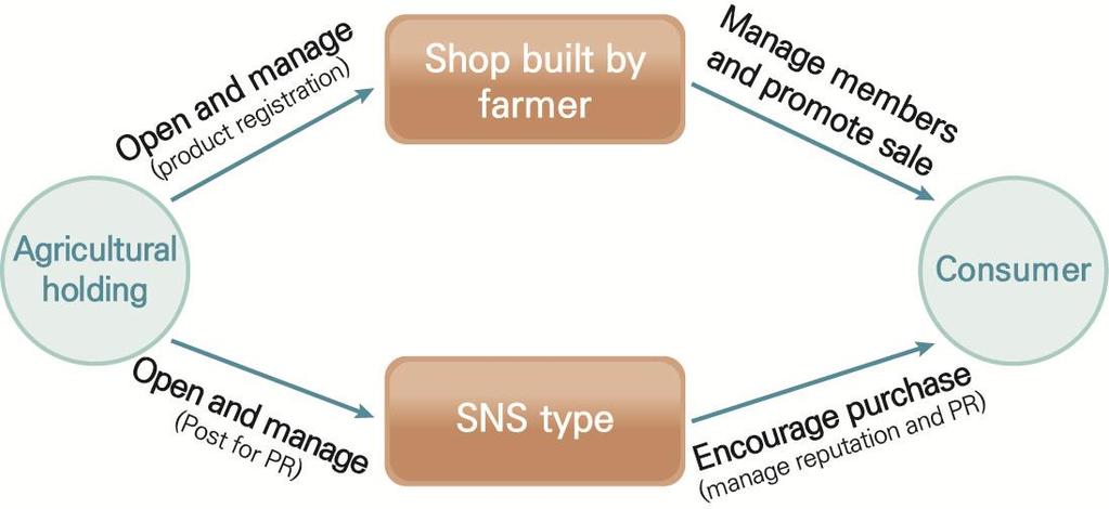 x Classification of Online Transaction Types of Agricultural Food The direct online transaction is an independent type that an agricultural holding builds and operates its own online shop to sell
