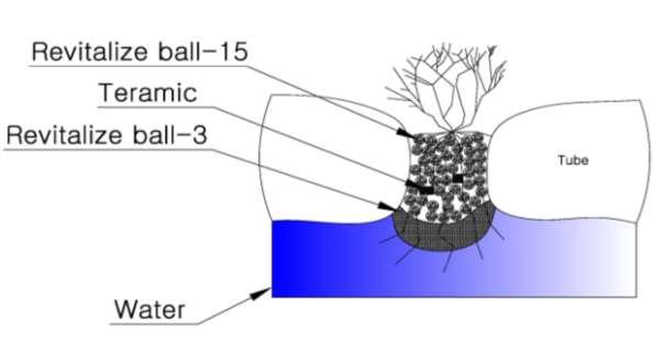 Revitalize Ball 식생시스템 Revitalize Ball : 물정화