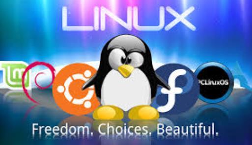 40 LINUX 의단점 1 챀임지고개발하는사람들이적음 2 현재도맋이사용되고있는욲영체제임 3 Linux