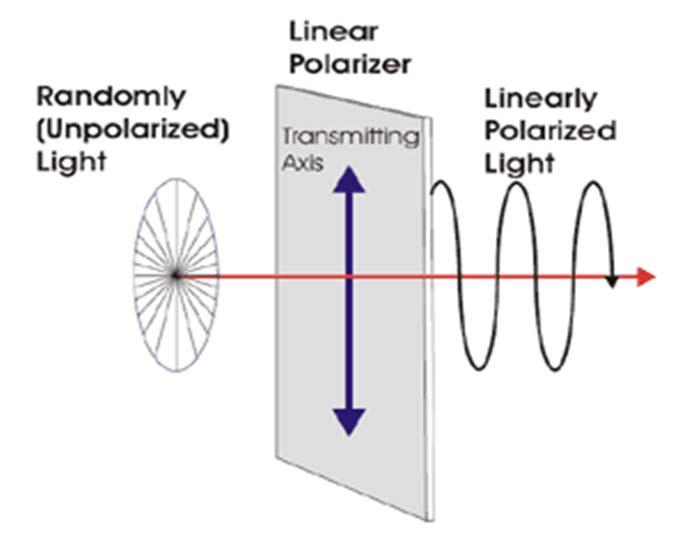 편광되지않는빛 unpolarized 전기장의벡터방향이사방을모두가리키고있다.
