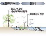 생태환경 보호를 위한 수로 설계 대체 서식처 조성 설계 (바다 목장) 수달 서식환경조성 갈대, 물억새 L=1.