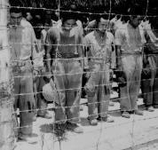 v=v5mmvd5xok8 괌에서항복선언을듣고있는일본군포로들 Japanese POWs at Guam bowed their heads after hearing Emperor Showa's surrender announcement, 15 Aug 1945 미주리호에서일본의항복조인식 Japanese Surrender in