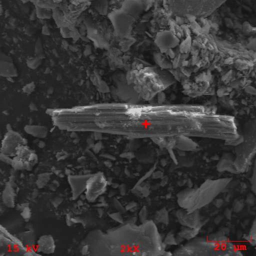 <2009 년 2 월 7 일제천시수산면한초중학교운동장에서토양샘플링하는모습 ( 좌측 ), 주사전자현미경 (FE SEM) 으로 2,000 배고배율로각섬석계통의트레몰라이트 (Tremolite) 석면을분석한사진 ( 우측