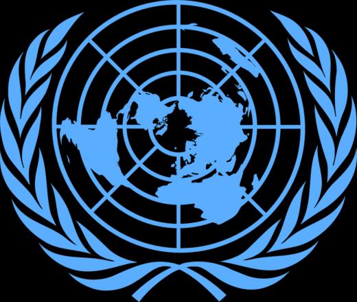 UN 통계국권고 2008