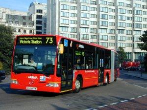 연료전지의국외기술개발현황 ( 수송용 ) 유럽청정도시교통프로그램 (CUTE: (CUTE: Clean Urban Transport in Europe) 연료전지버스 30 대 (EU