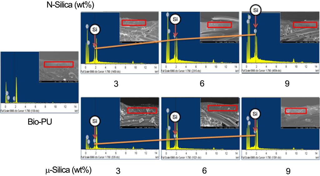 Figure 5는 FE-SEM으로 관찰한 순수 Bio-PU 필름 및 Bio- Textile Science and Engineering, 2015, 52, 73-78 Figure 5. Surface morphology of Bio-PU films with increasing n-silica content.