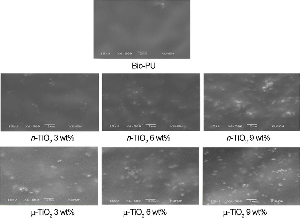 Figure 5는 FE-SEM으로관찰한순수 Bio-PU 필름및 Bio- PU/TiO 2 복합필름의표면형상 (3,000배) 을보여주는사진이며, Figure 6과 7은각각 XRD와 FE-SEM에부착되어있는 EDS로복합필름내의