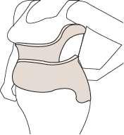 허리및엉치뼈부위의일부또는전체를감싸움직임을제한하여 관절을보호하거나척추변형을예방 /