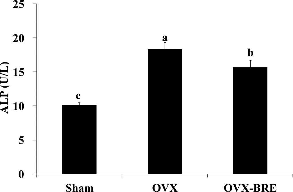 Bars not sharing the same letters are significantly different according to the Duncan's multiple range test at P<0.05. Fig. 3. Effect of Oryza sativa L.