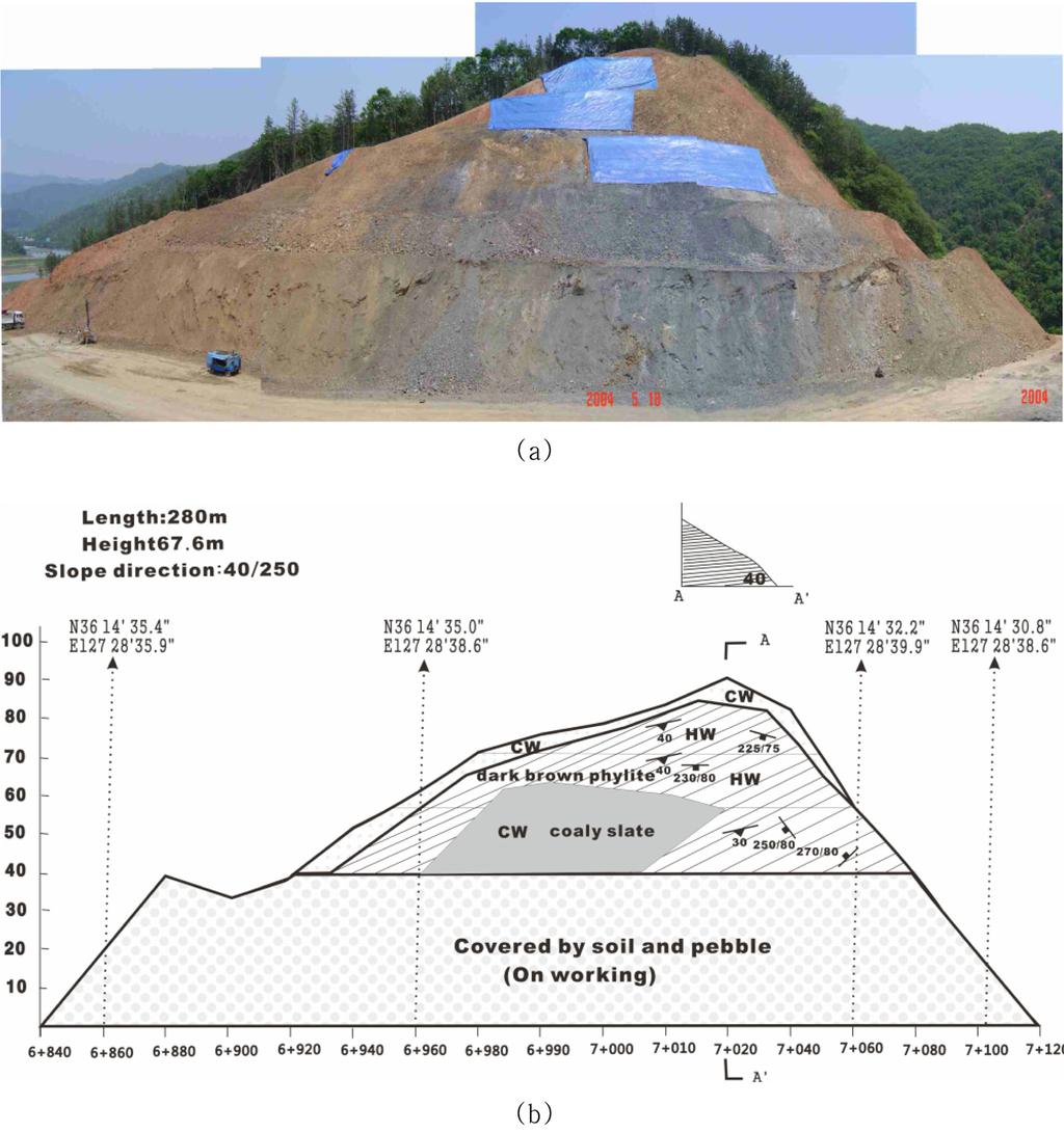142 이병주 채병곤 이경미 Fig. 6. Photograph (a) and face map (b) of the slope in May 2004. Fig. 7.