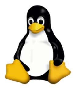 리눅스 (1/5) Linux Kernel : kernel.org 1991 년, 리누스토발즈 (Linus Torvalds) 1991 년 0.