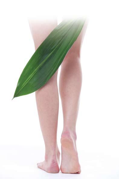 Beauty Legs Botulinum toxin시술시종류별용량선택중요 Botulinum toxin 시술시고려할사항은두꺼운다리가지방비대보다는주로근육문제인지를체크해야한다. 하이힐을신었을때종아리가튀어나와돌출된다리라인을형성하는사람에게서효과가좋다.
