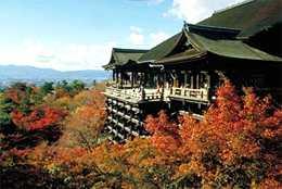 교토 일본에서가장일본다운곳 ㅇ 년메이지유신때도쿄로수도를옮기기전까지천년동안수도
